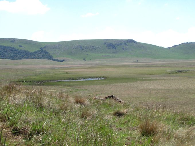 Umngeni Vlei